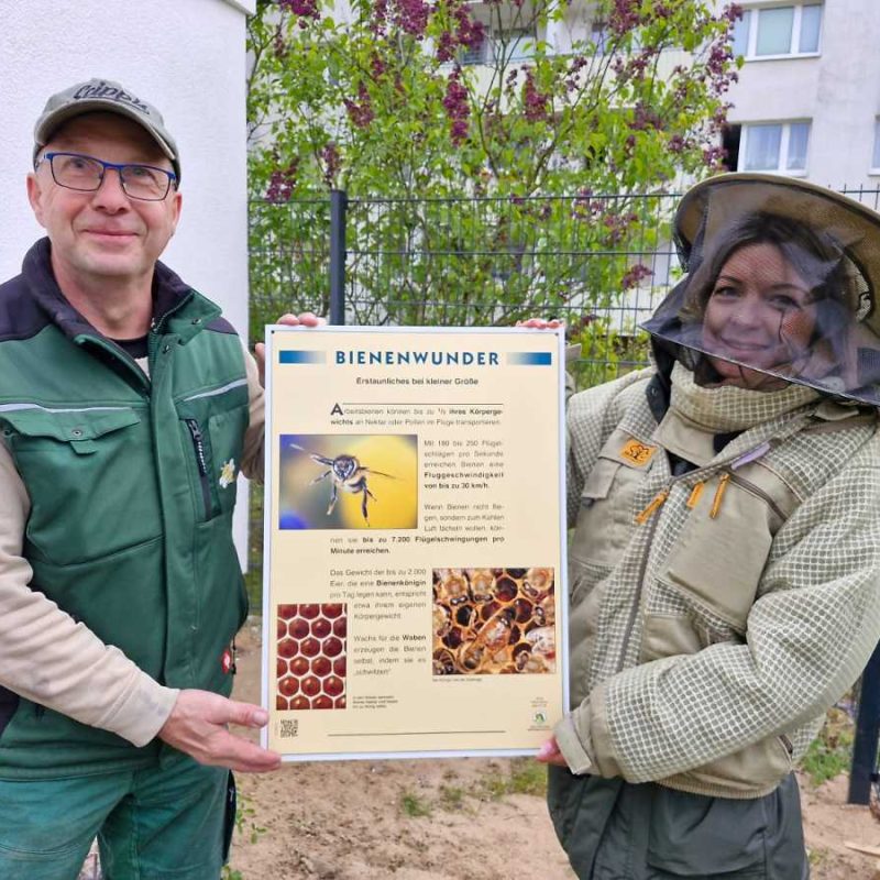 Bienenprojekt der WBG Wittstock